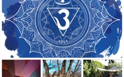 Stage « Éveil De L’intuition »